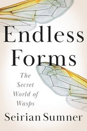 Cover of Endless Forms by Seirian Sumner