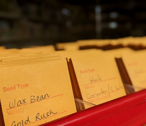 Seed packets at Prince of Wales seed library.