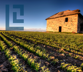 A barn on the edges of a farm field