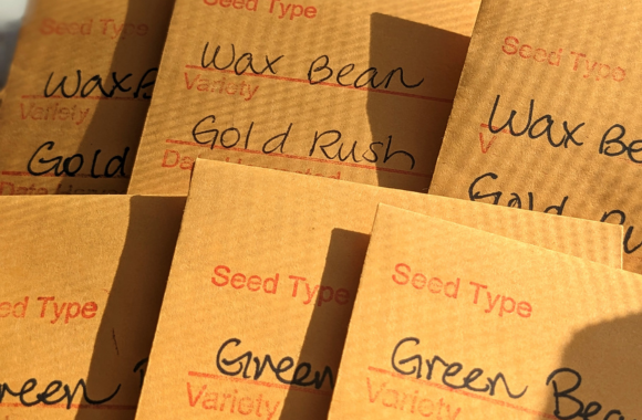 Seed packets