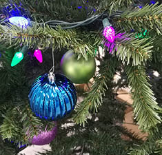 A photo of holiday greenery. 