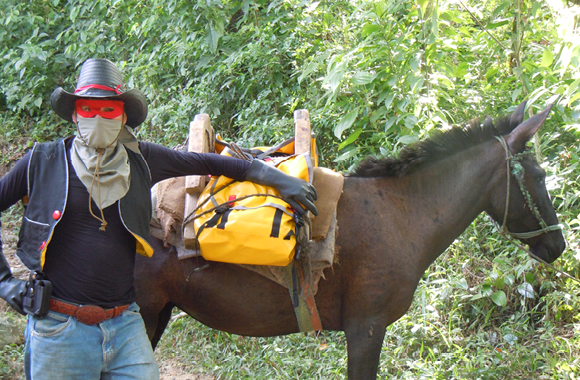 Marisa Moran Jahn's Bibliobandido character and his steed.